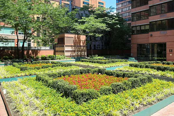 Rented by The Monterey | media 69