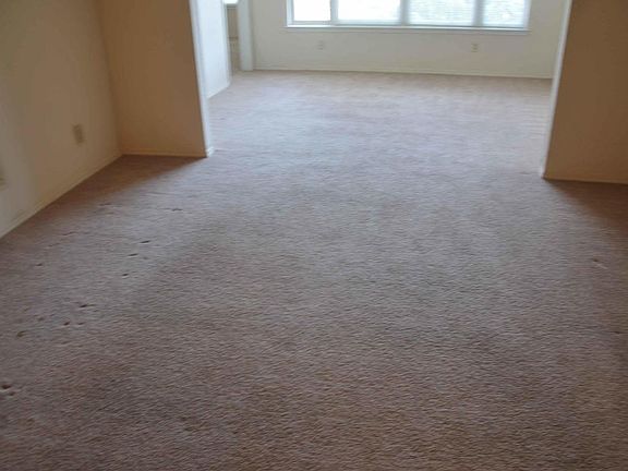 5th image of 13810 N Sutton Park Dr #1121