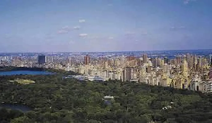 Sold by Douglas Elliman | media 5