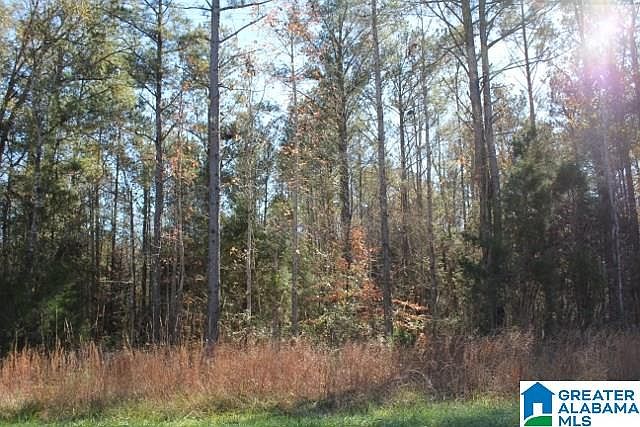 1st image of County Road 29