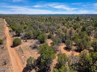 3365 Weese Run, Overgaard, AZ 85933
