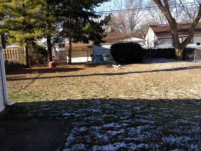 Yard