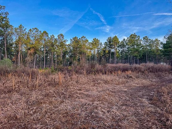 2nd image of 0 County Road 4320