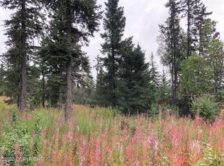 L5 Stariski Mdws, Anchor Pt, AK 99556