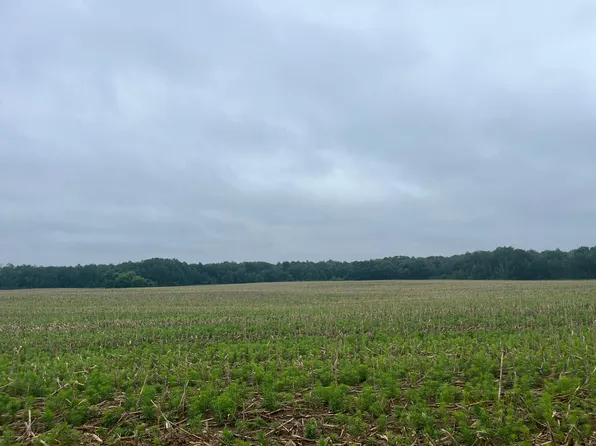 LOT 2 Hemingway Ave, North Branch, MN 55056