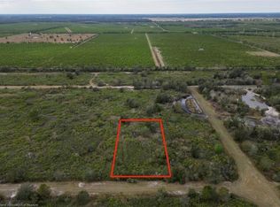 1624 Bear Bryant Rd, Avon Park, FL 33825