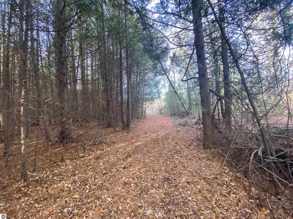Robarge St, Elberta, MI 49628