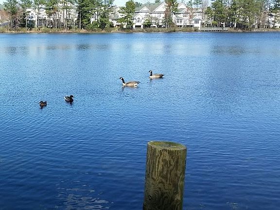 Community Lake