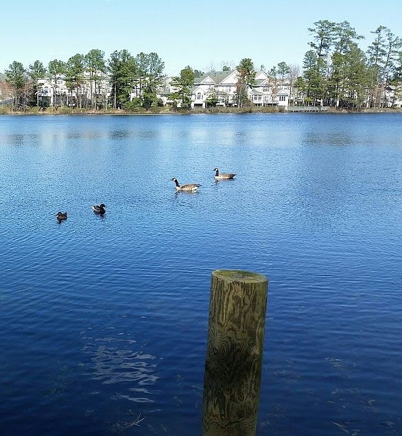 Community Lake