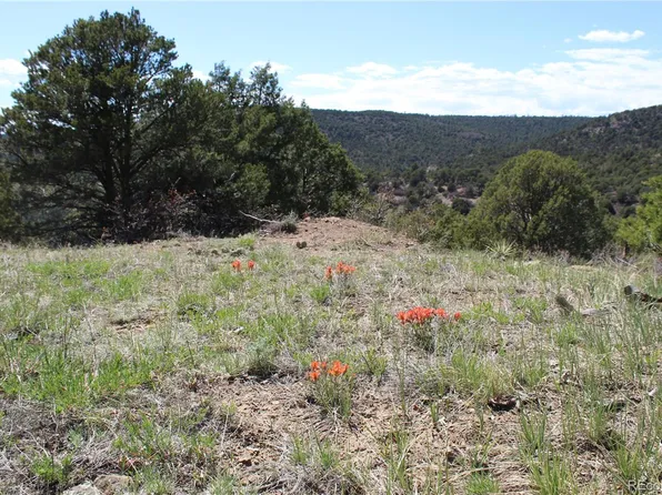 TBD. Picketwire Road, Trinidad, CO 81082