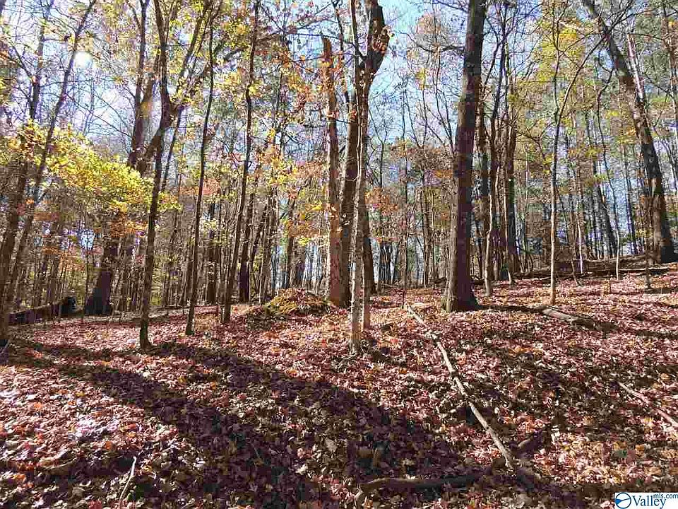 2nd image of Blue Springs Dr