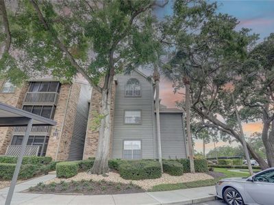 2500 Winding Creek Blvd APT G307, Clearwater, FL, 33761