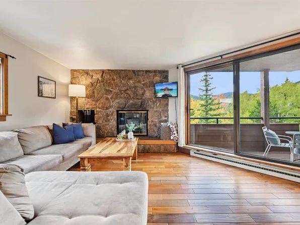 210 E La Bonte St #131, Dillon, CO 80435