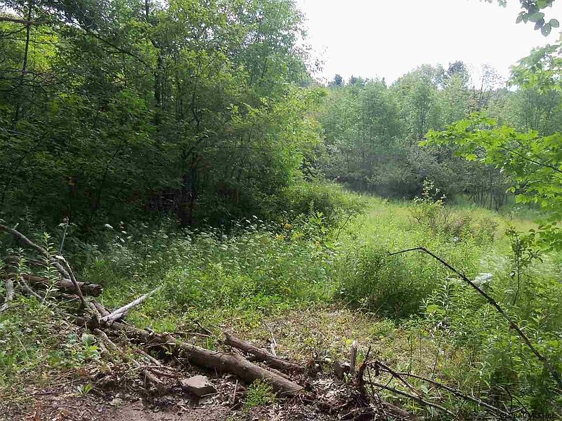 5th image of 0 DEBAR HILL Road