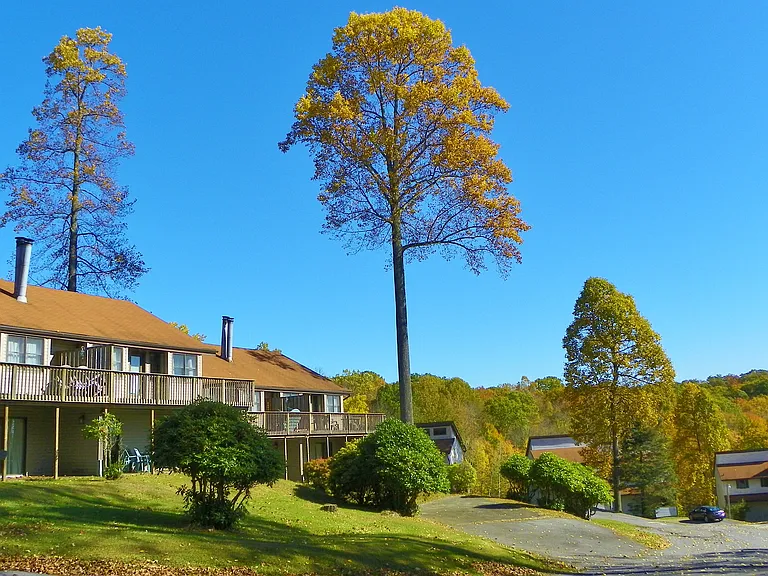 Wolf Run Manor