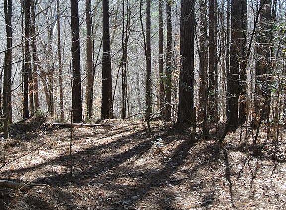 4th image of 248 Windingwood Dr #16