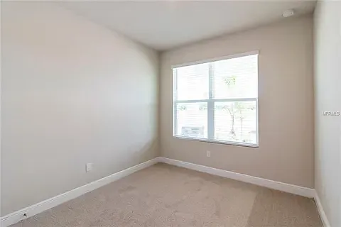 5550 Spanish Moss Cv — Photo 15
