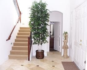3rd image of 3436 E Casa Mader Dr