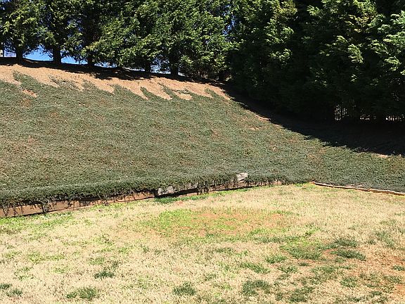 Right corner of backyard