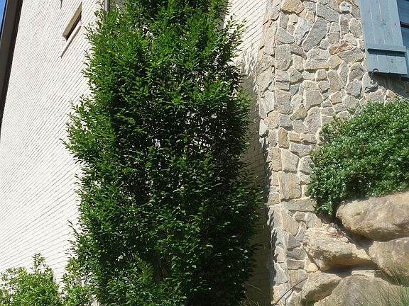 5th image of 22 Dolce Vita Ct