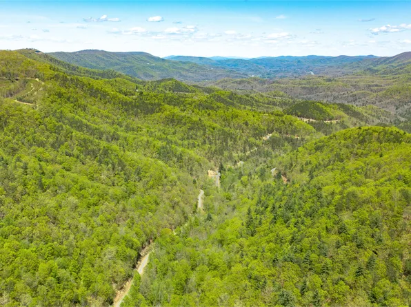 LOT 51 Lynn Lick Ln, Caldwell, WV 24925