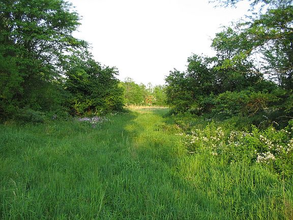culvert over creek heading west