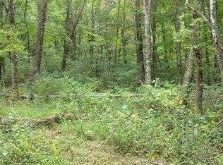 Tbd Mulatto Mountain Rd, West Jefferson, NC 28694