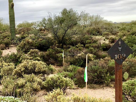 2nd image of 10863 E SUNDANCE Trail #103