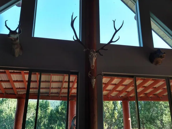 316 W ELK SONG Trail, Young, AZ 85554