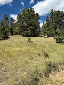 3190 N Mountain Estates Rd, Florissant, CO, 80816