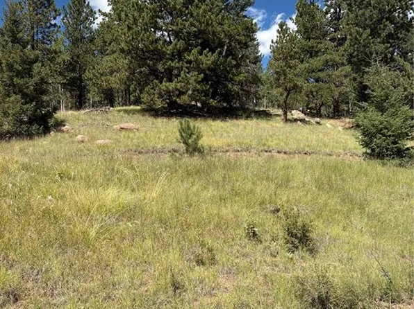 3190 N Mountain Estates Rd, Florissant, CO 80816