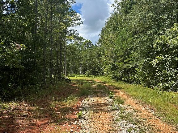 2nd image of 3209 County Road 177