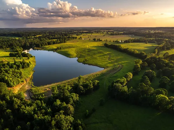 8576 Giraffe Rd, Gilmer, TX 75644