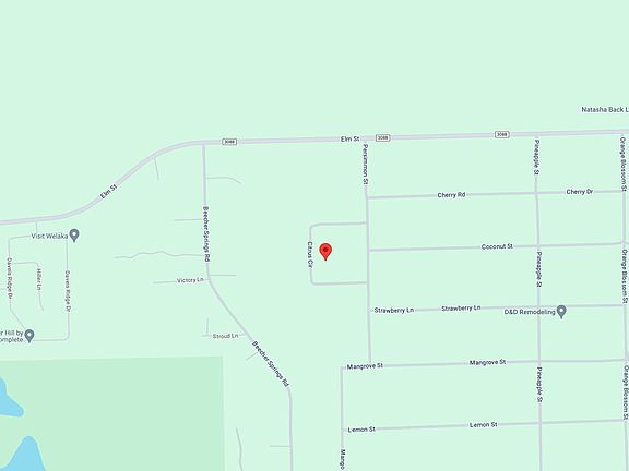 4th image of 125 CITRUS Circle