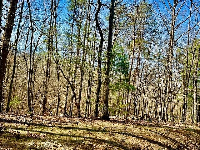 1st image of 540 Arbor Ct #540