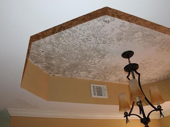 4th image of 12055 Gandy Blvd N APT 273