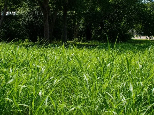 LOT 6 SW Saint Ave, Waelder, TX 78959