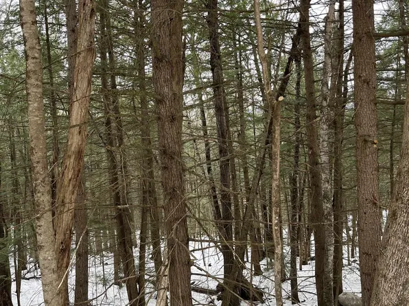 4-2-16 Morrill Circle, Campton, NH 03223