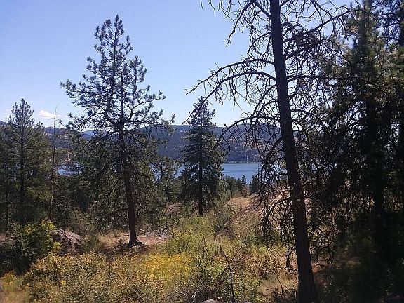 5th image of 00 Highway 395 N