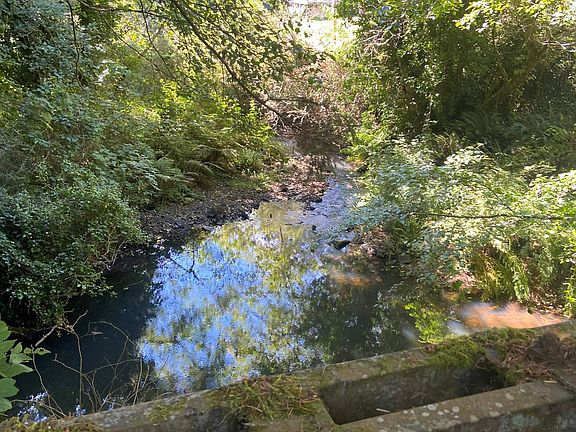 5th image of 101 Salt Creek Rd