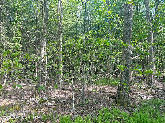 3rd image of Lots 18 19 N North Estates Dr