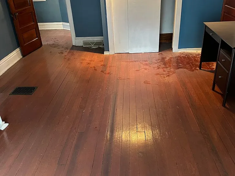 782 Loretta St — Photo 17