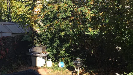 Rented by Terra Magia Inc