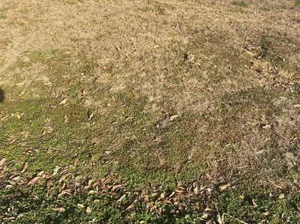 411 Forrest St, Richmond, MO 64085