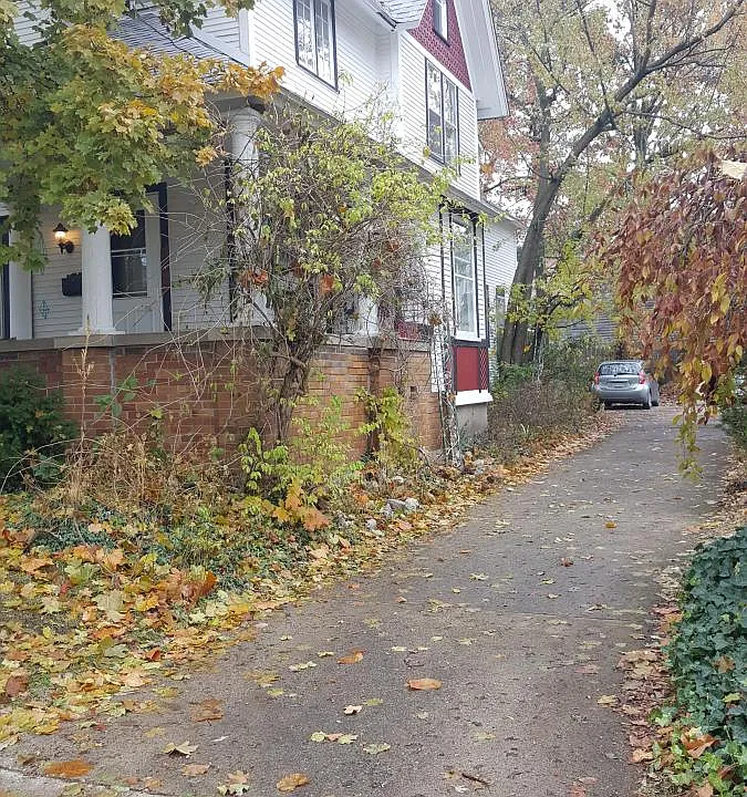 Driveway view