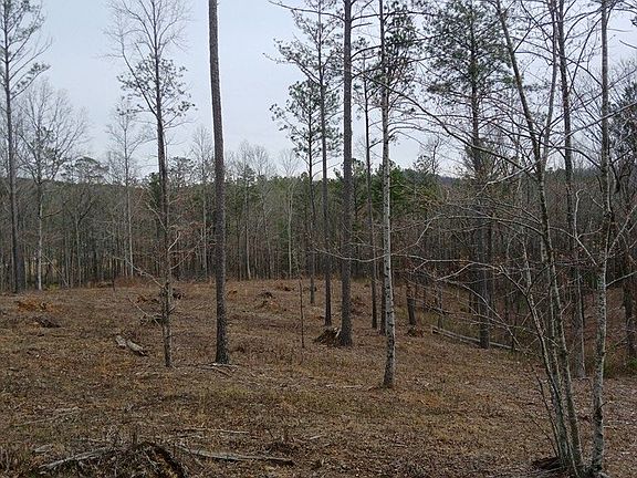 4th image of LOT 337 Timber Trl