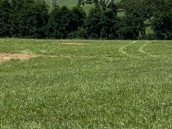 Tbd Roudabush Ln, Churchville, VA 24421