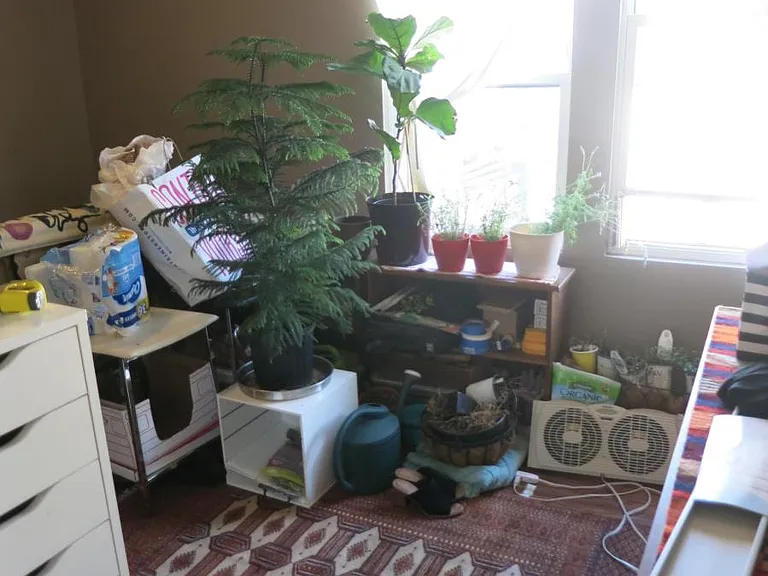 711 N Elizabeth St #2F — Photo 13