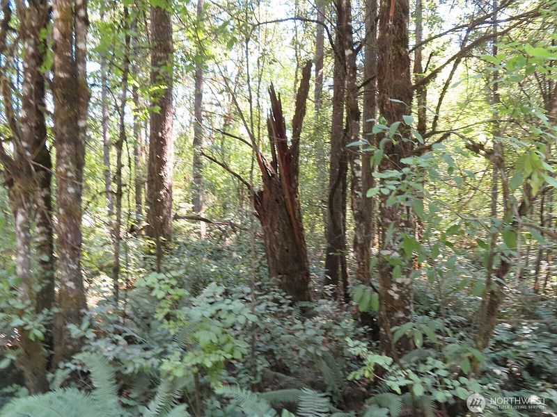 2nd image of 115 Campground Lane