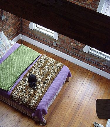 4th image of 795 Brayton Ave #2